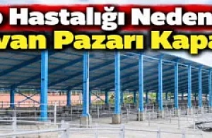 Şap Hastalığı Nedeniyle Hayvan Pazarı Kapatıldı