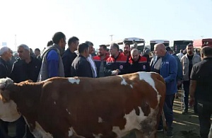 Pazarda Belgeler ve Sağlık Durumu Kontrol Ediliyor