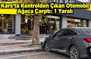Kars’ta Kontrolden Çıkan Otomobil Ağaca Çarptı: 1 Yaralı