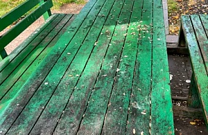 Kars Masal Park’ta Çirkin Görüntüler: Vatandaşlardan Tepki!