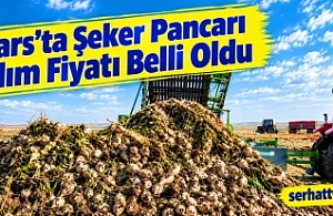 Kars’ta Şeker Pancarı Alım Fiyatı Belli Oldu