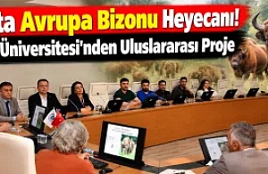 Kars’ta Avrupa Bizonu Heyecanı! Kafkas Üniversitesi'nden Uluslararası Proje
