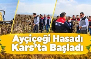 AYÇİÇEĞİ HASADI KARS"TA BAŞLADI