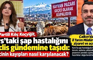 Kars’ta Şap Hastalığı Gündemi: Çalkın’dan Açıklama, Kılıç Koçyiğit’ten 13 Soruluk Önerge