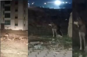 Kars'ta Yenişehir Mahallesinde yaşayan Vatandaşlar Tedirgin