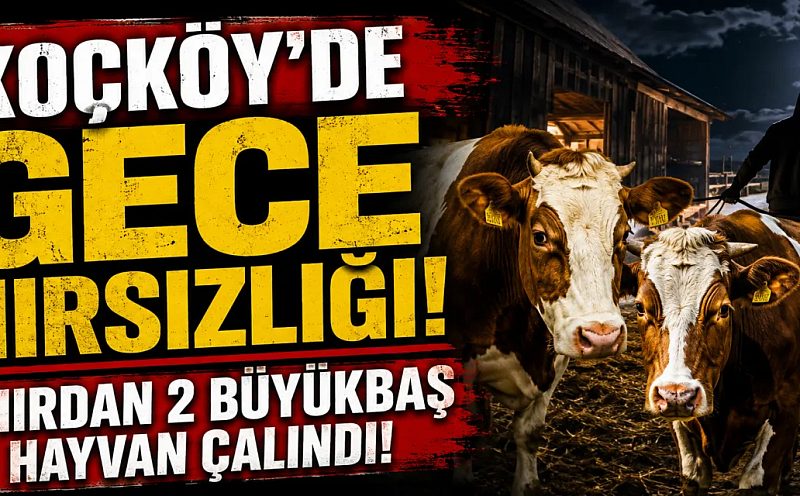 Kars’ın Arpaçay ilçesine bağlı Koçköy köyünde, gece hırsızlık olayı meydana geldi.