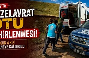 Kars’ta “Güzelavrat Otu” Zehirlenmesi