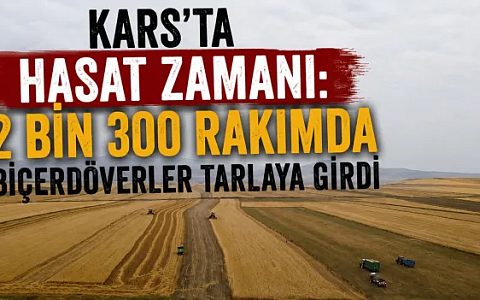 Kars’ta Hasat Zamanı: 2 Bin 300 Rakımda Biçerdöverler Tarlaya Girdi