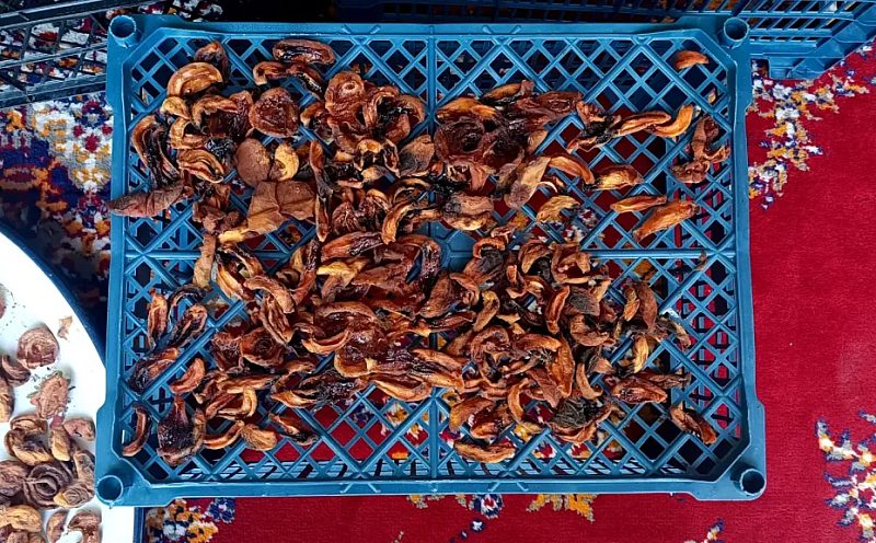 Kayısılar Güneşe Serildi, Kış Hazırlıkları Başladı
