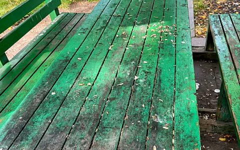 Kars Masal Park’ta Çirkin Görüntüler: Vatandaşlardan Tepki!