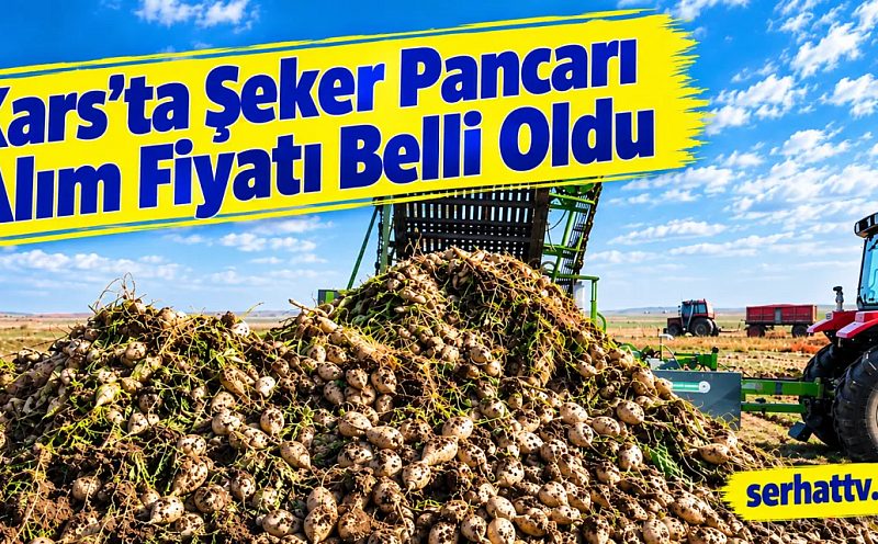 Kars’ta Şeker Pancarı Alım Fiyatı Belli Oldu