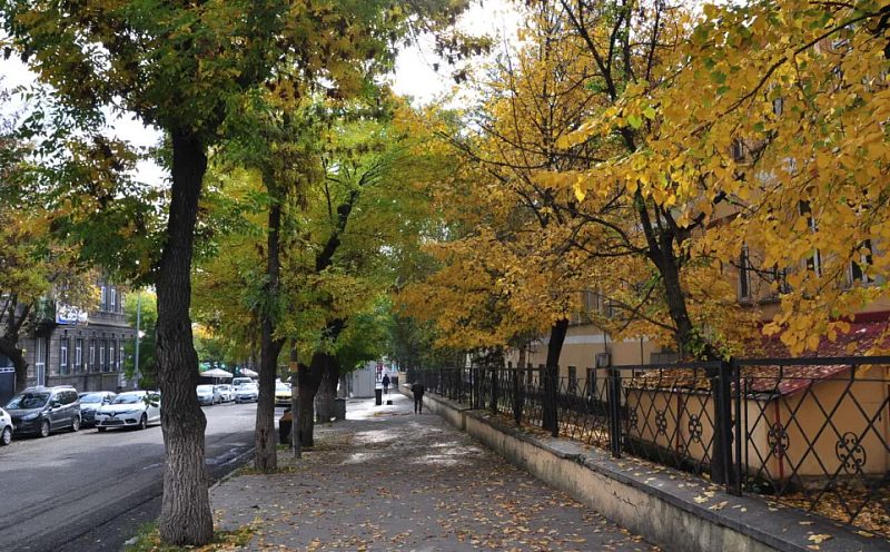 Doğu Anadolu’da Sağanak Yağış Bekleniyor