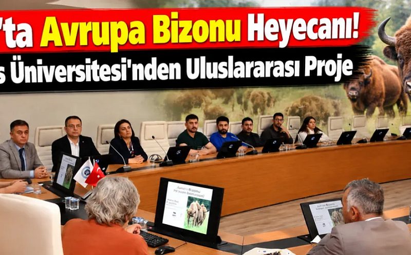 Kars’ta Avrupa Bizonu Heyecanı! Kafkas Üniversitesi'nden Uluslararası Proje