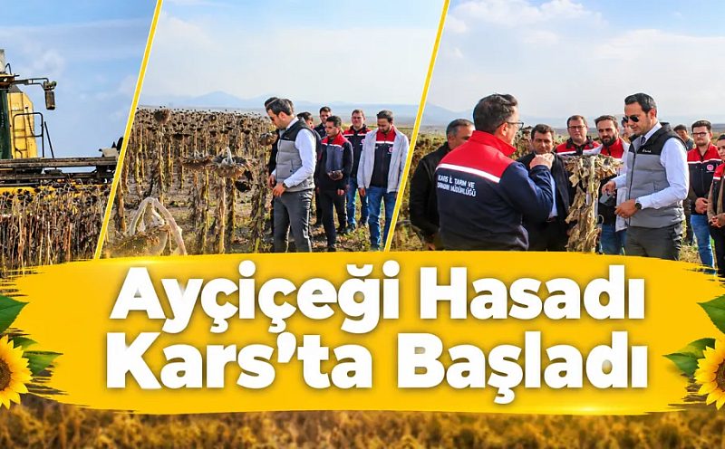 AYÇİÇEĞİ HASADI KARS"TA BAŞLADI