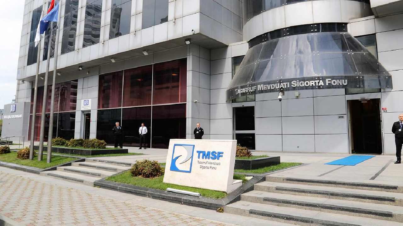 TMSF 
