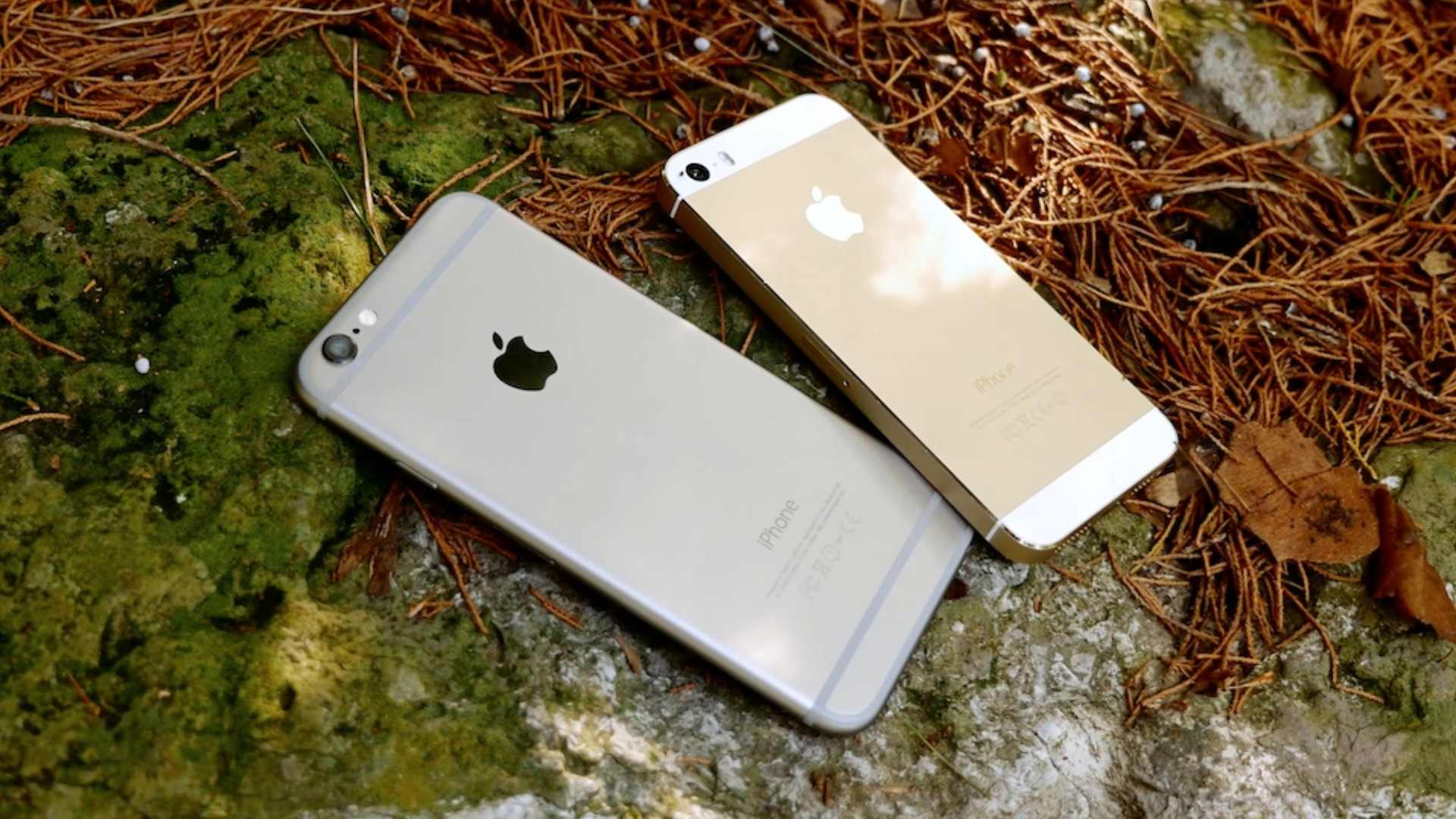 iPhone 6, iPhone 5s ve iPhone 6 Plus için WhatsApp