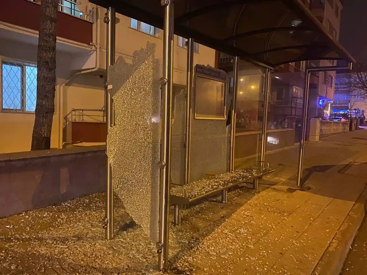 Abisini ve kuzenini pompalı tüfekle vurup firar etti