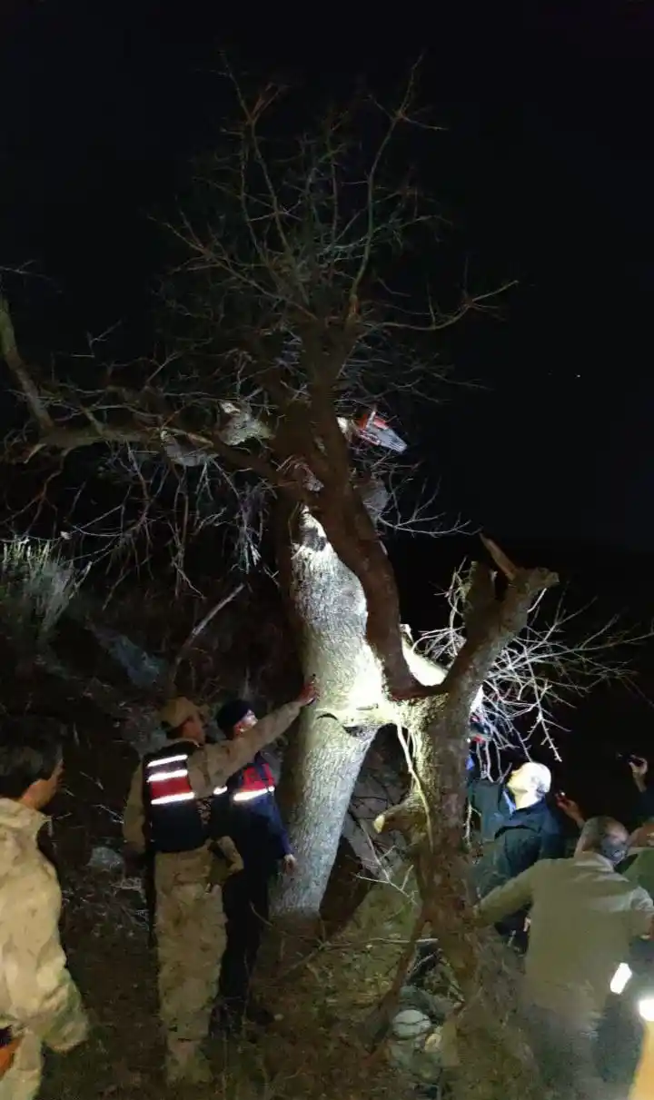 Ağaçtan düşen güvenlik korucusu hayatını kaybetti