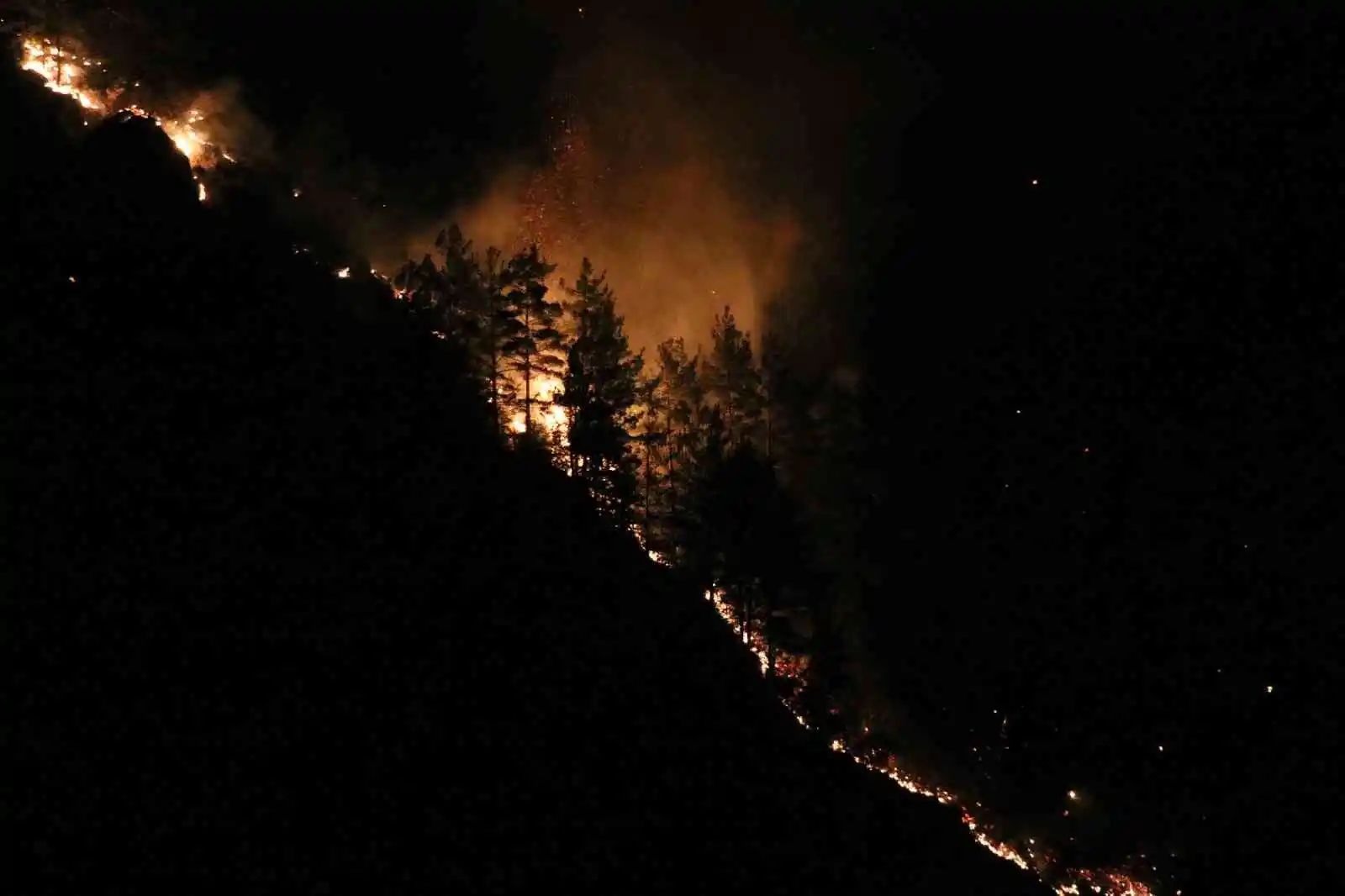 Alanya'daki orman yangını kontrol altına alındı
