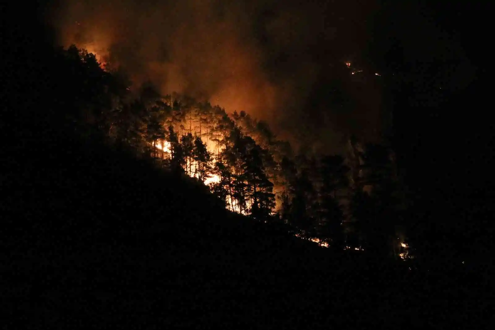 Alanya’daki orman yangını kontrol altına alındı