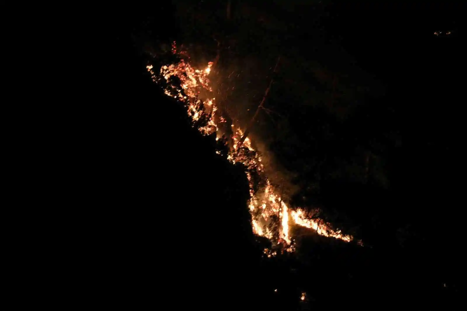 Alanya’daki orman yangınına yakın yerleşim yeri boşaltıldı