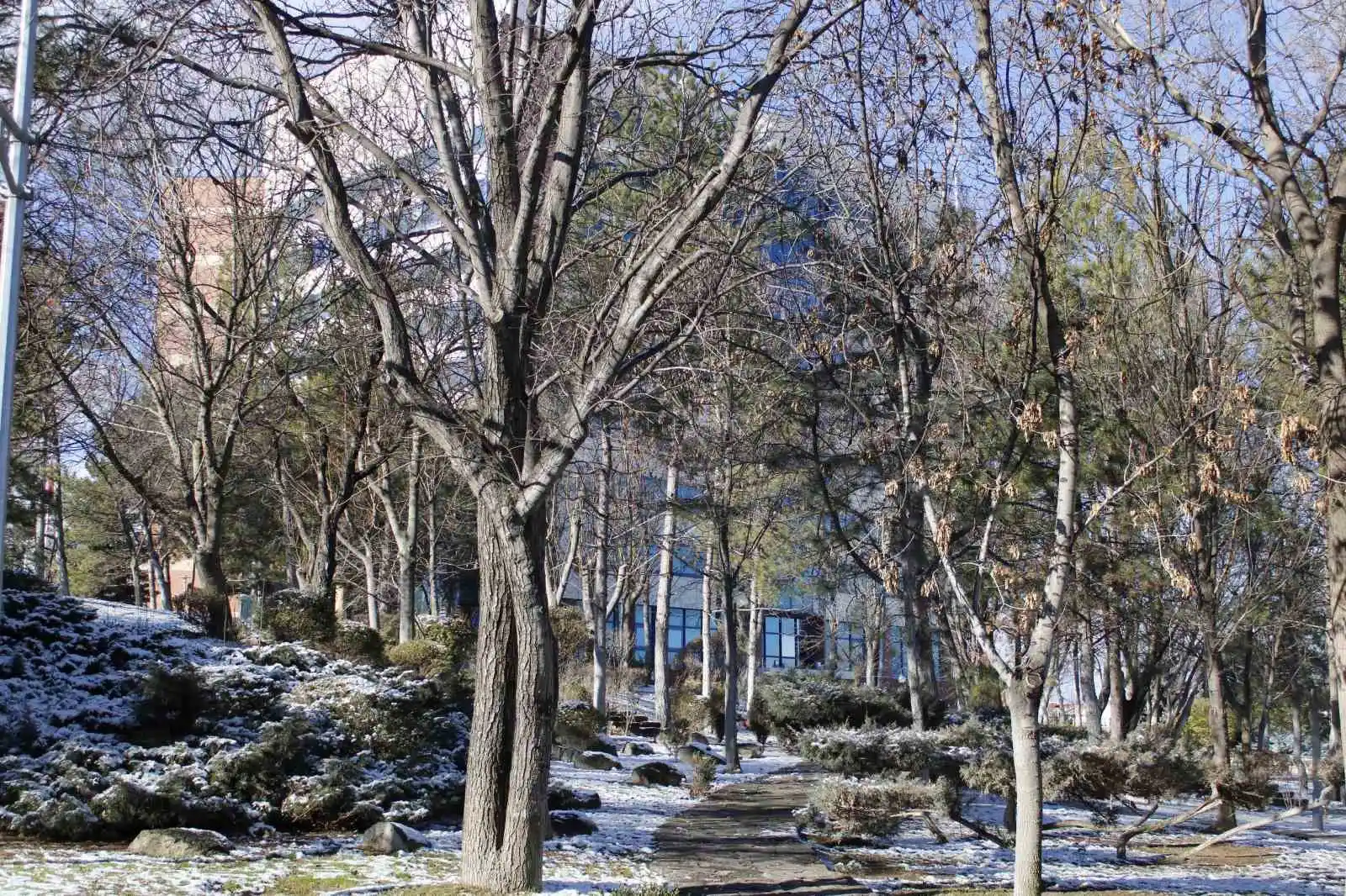 Anadolu Üniversitesi beyaza büründü