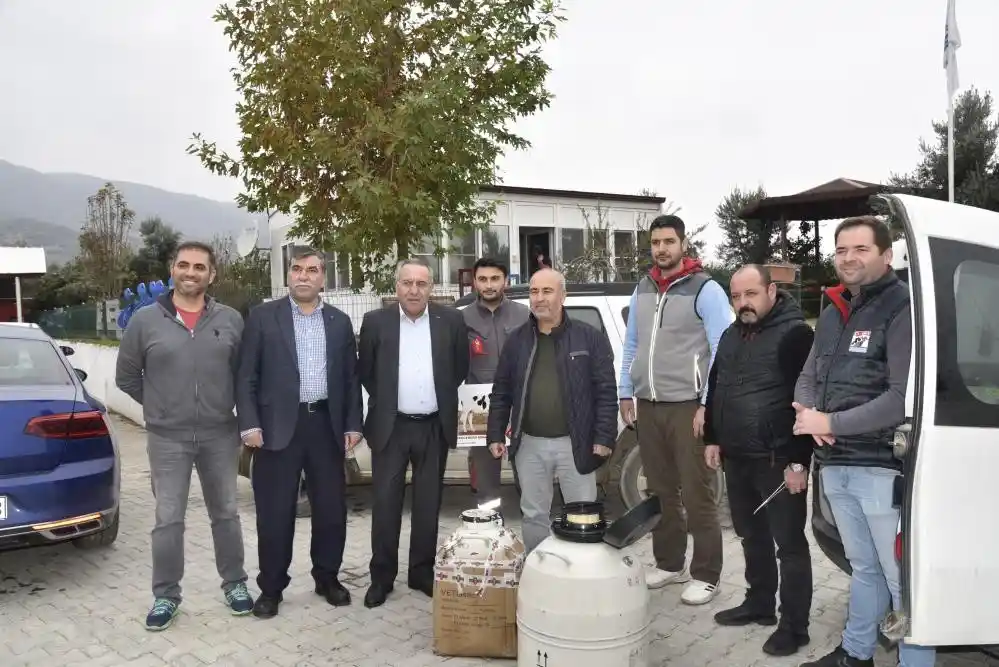 Aydın çiftçisi, ineklerin anasına bakıp kızını büyüterek işletmeleri genişletecek