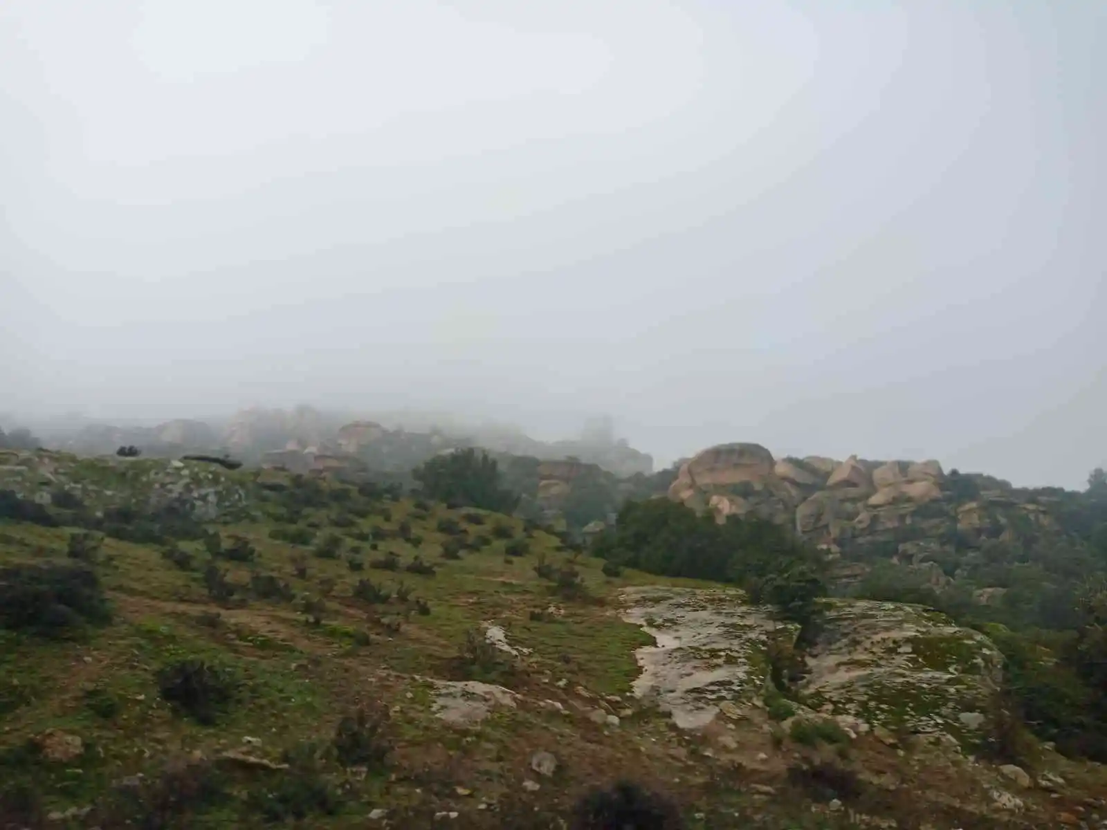 Aydın-Muğla karayolunda sis etkili oldu
