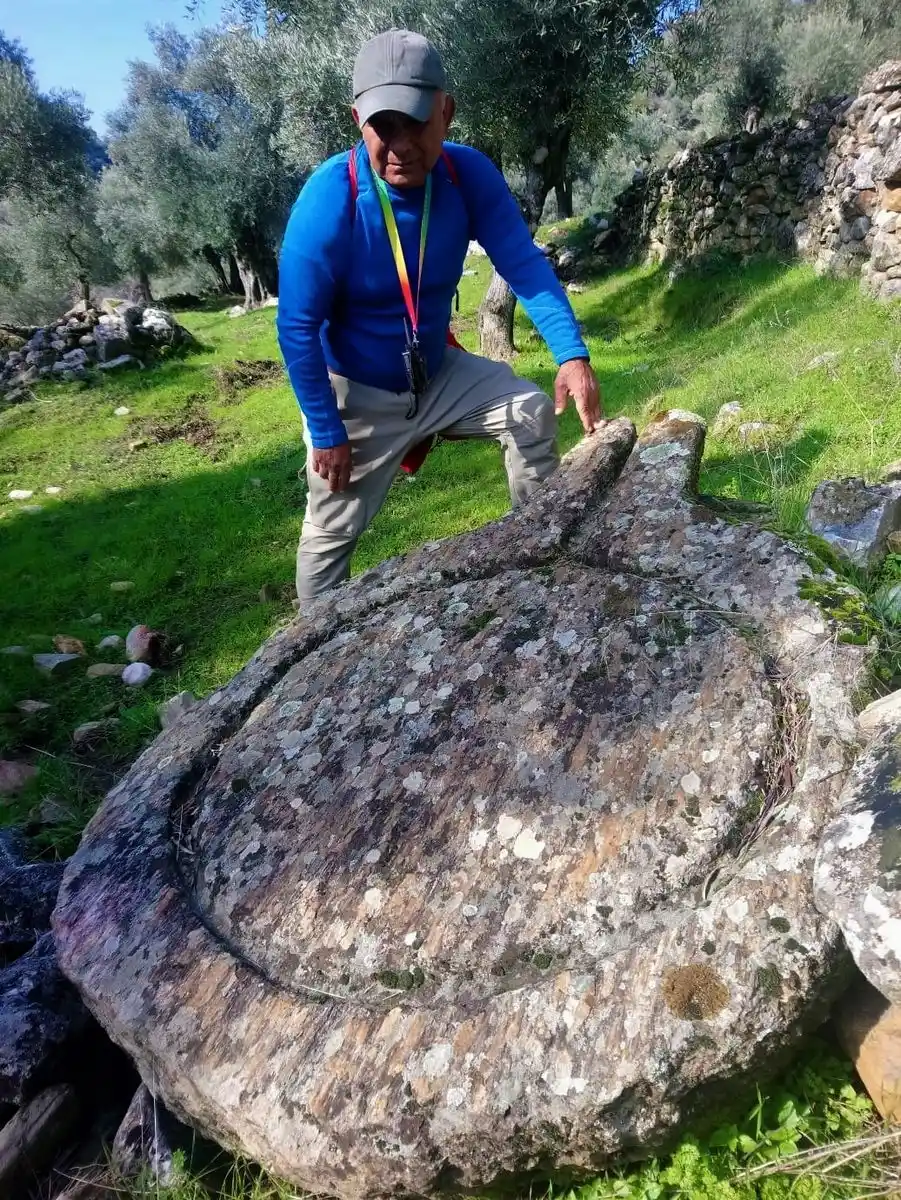 Bilinçsizce açılan zeytin yolları, Aydın tarihinin izlerini yok ediyor
