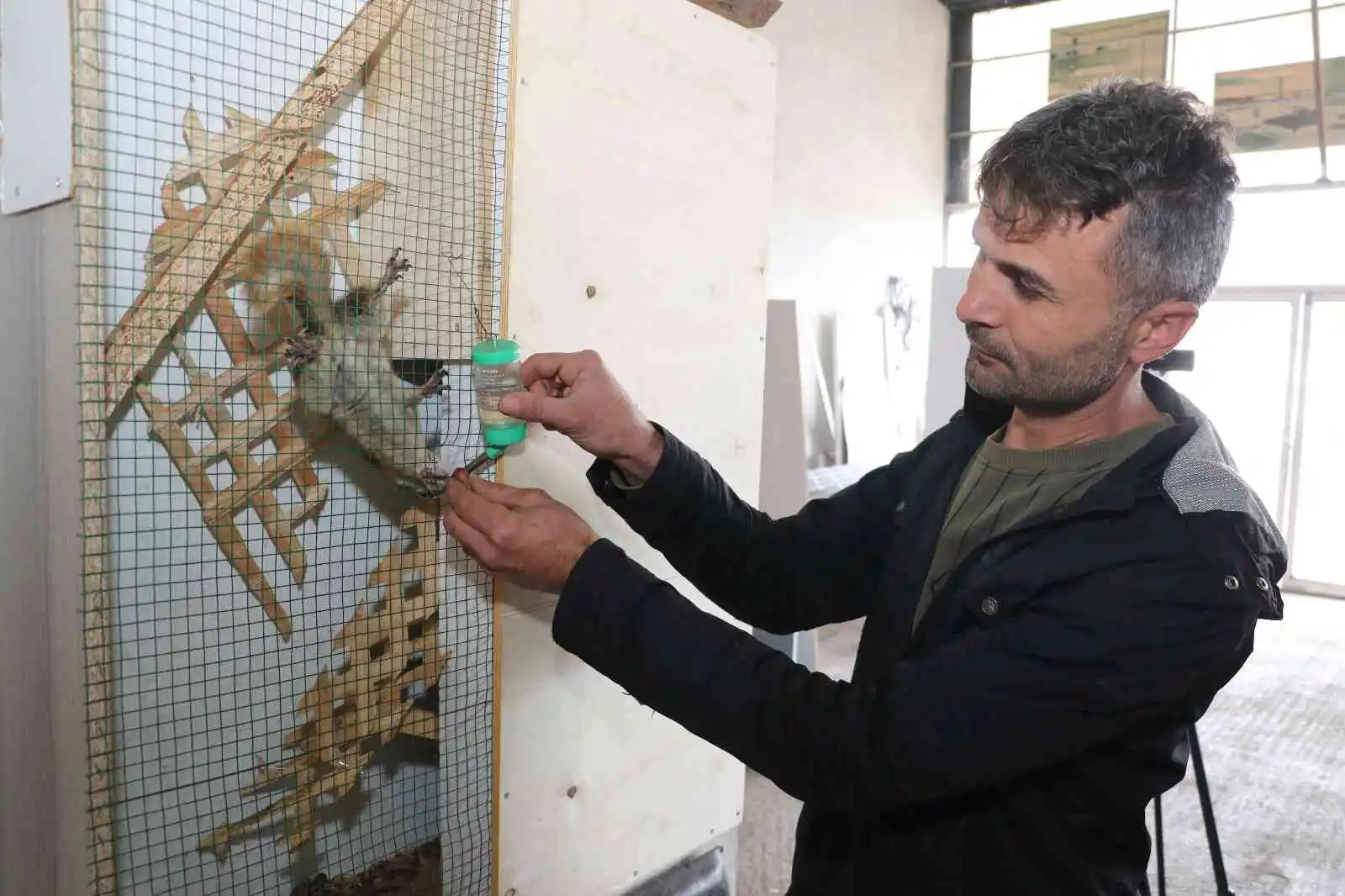 Bitkin halde bulup beslediği sincap atölyenin maskotu oldu