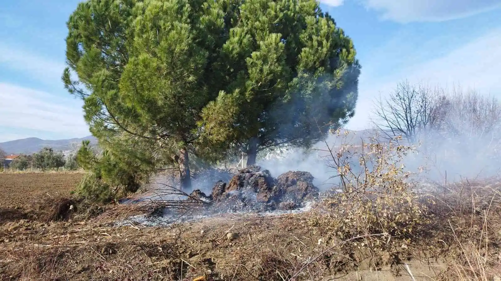 Bursa’da daha önce kesilmiş ağaçlar tutuştu
