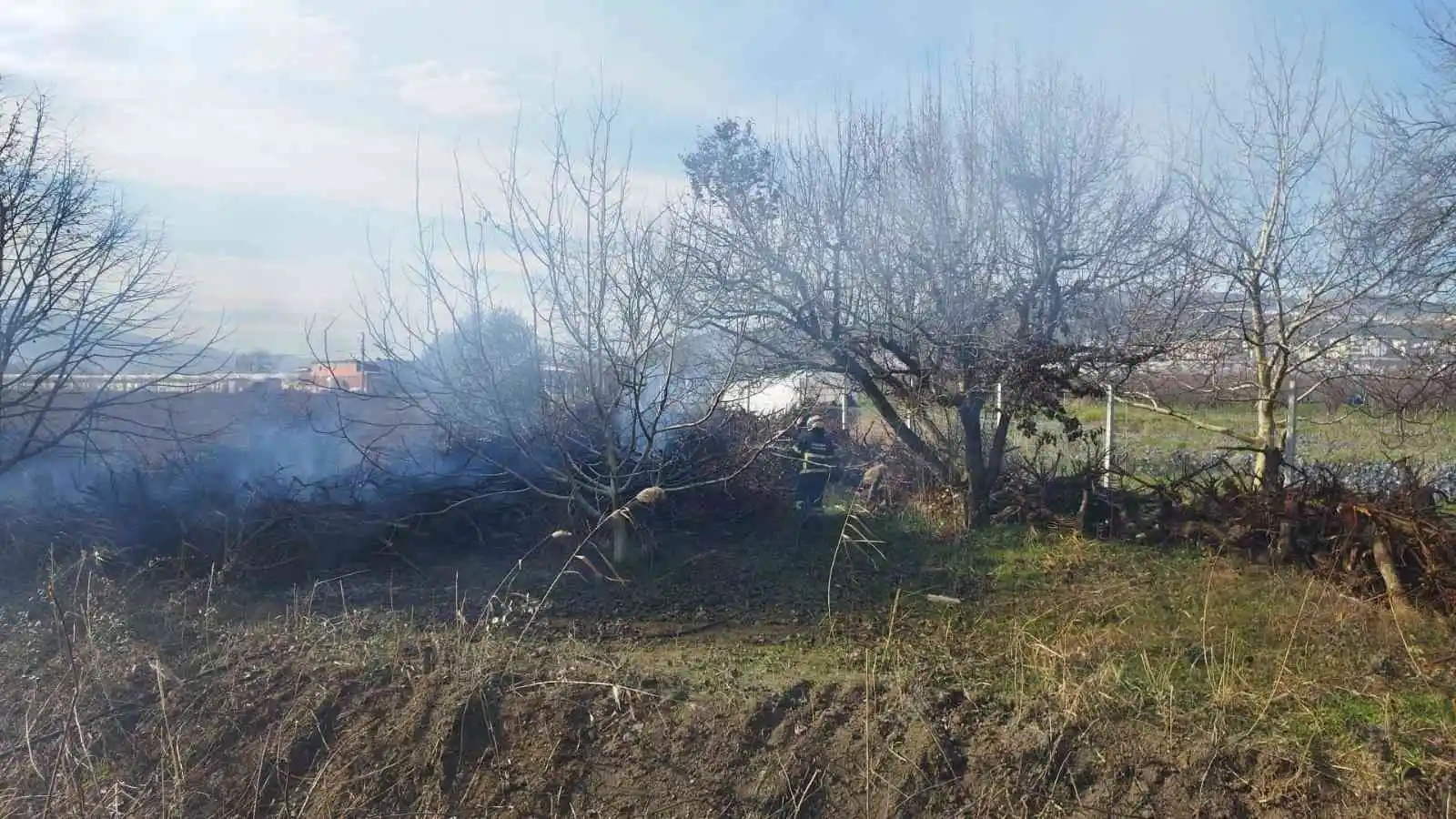 Bursa’da daha önce kesilmiş ağaçlar tutuştu
