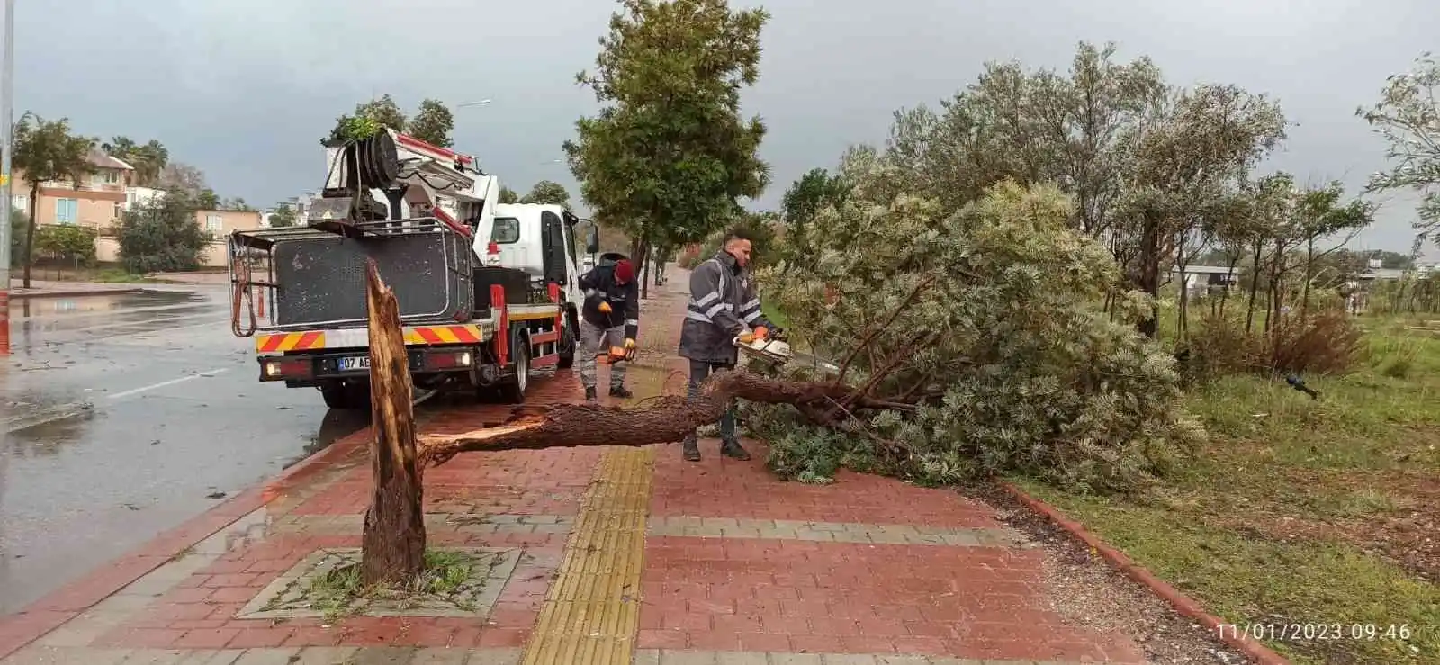 Büyükşehirin fırtına mesaisi
