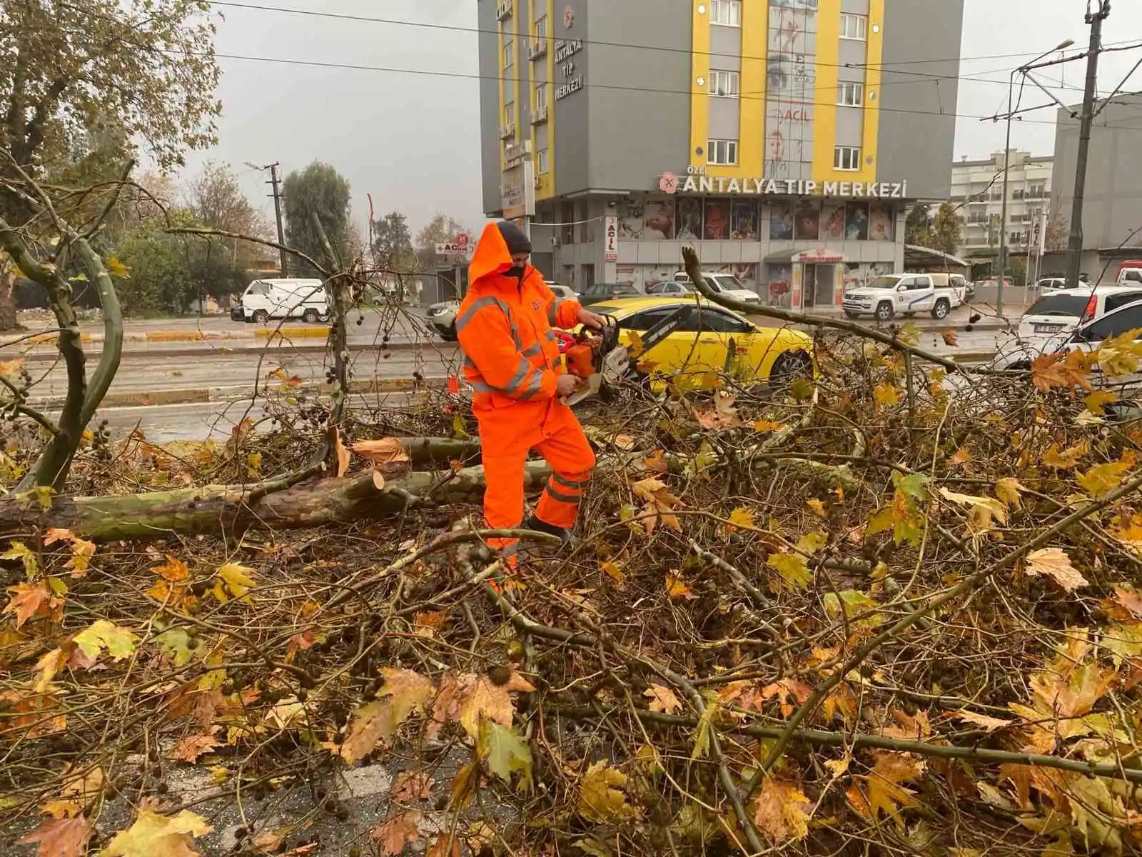 Büyükşehirin fırtına mesaisi
