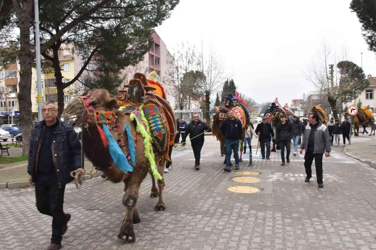 Çan’da deve güreşleri öncesi kortej yürüyüşü düzenlendi
