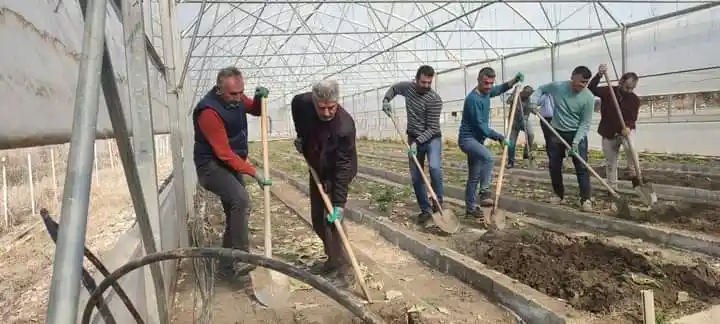 Çukurca Belediyesinin seralarında yeni ürünlerin ekimine başlandı
