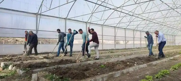 Çukurca Belediyesinin seralarında yeni ürünlerin ekimine başlandı