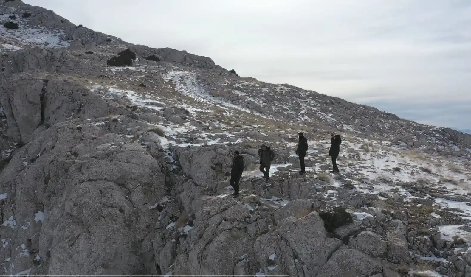 Dağların süsü olan yaban keçisi sürücü dronla görüntülendi