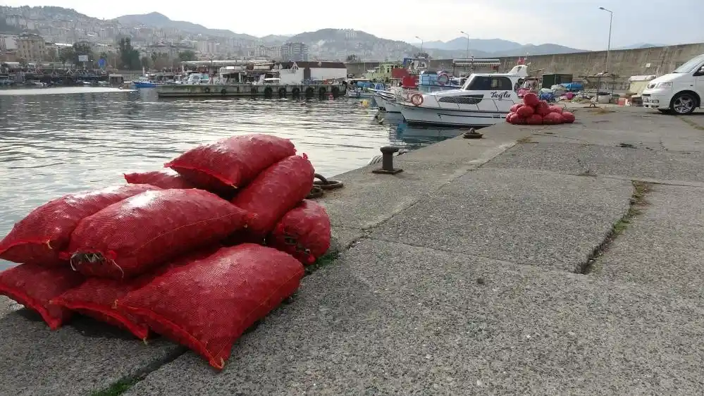 Deniz salyangozu ihracatından 2 yılda 33 milyon 507 bin dolar döviz girdisi sağlandı