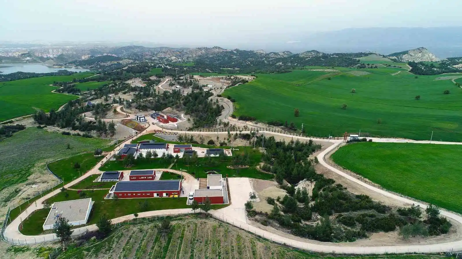 Denizli’de can dostlar çok mutlu