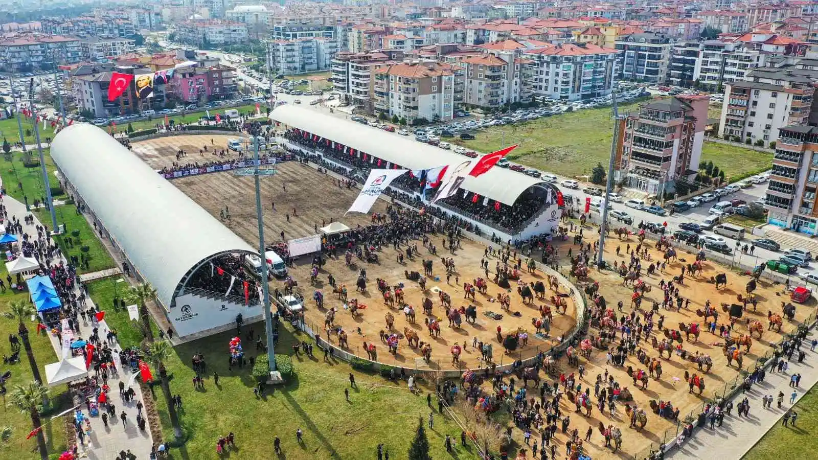 Denizli’de hafta sonu 120 pehlivan deve güreşecek