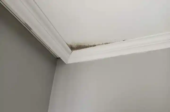 (Düzeltme) 500 TL’lik site aidatı bin 415 TL’ye çıktı, site sakinleri fahiş zamma isyan etti