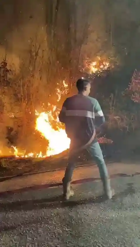 Ekipler seferber oldu, ormanlık alanda çıkan yangın söndürüldü