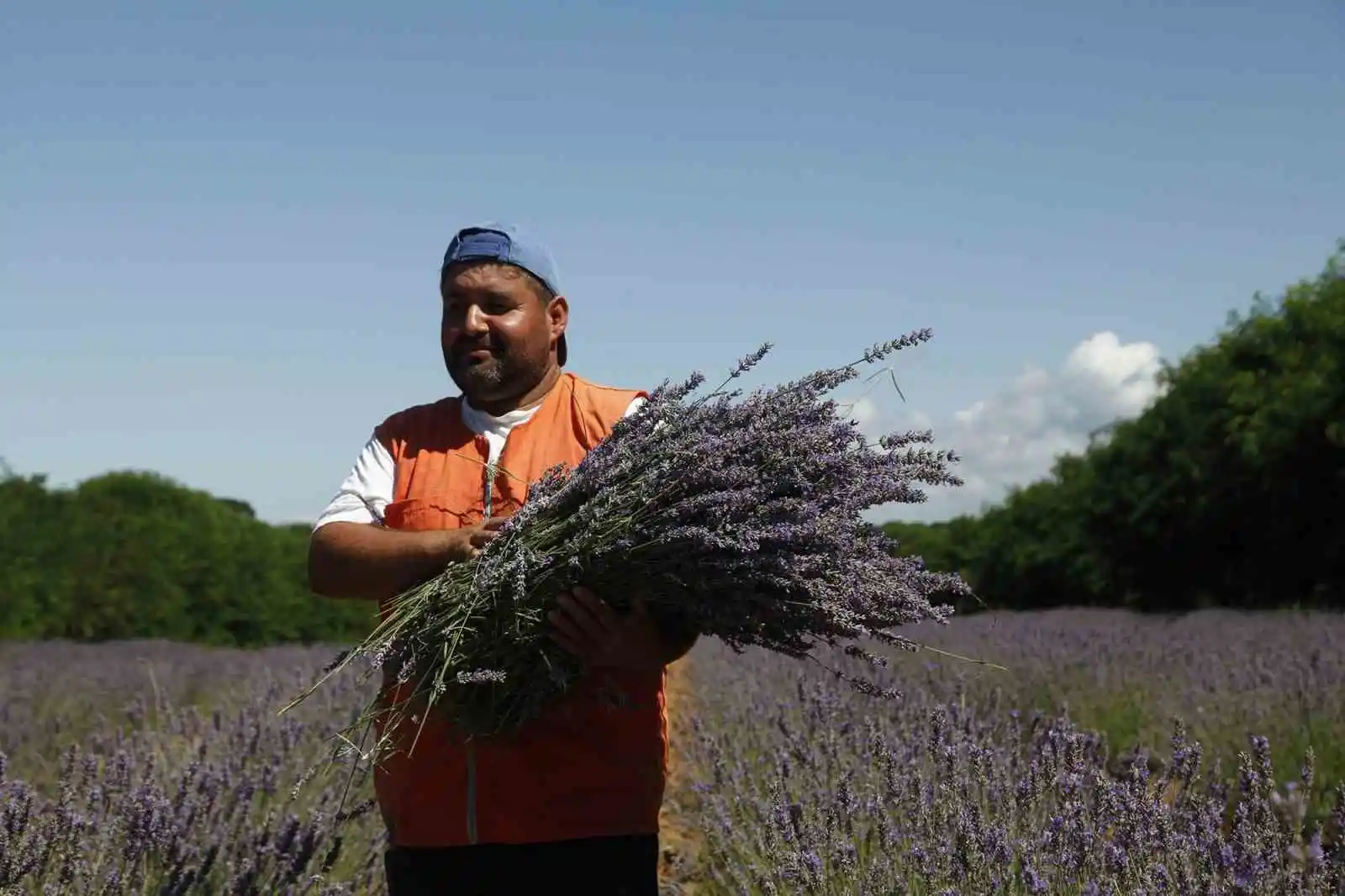 En özel ürünler bu vadide yetişecek