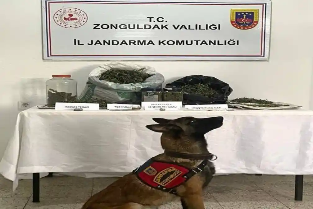 Ereğli'de uyuşturucu operasyonu:1 gözaltı