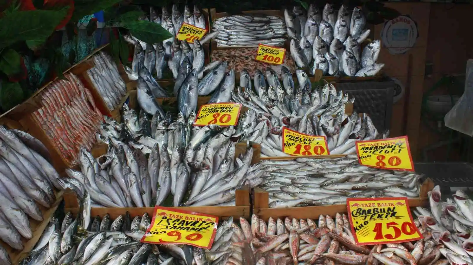 Hava sıcaklıları balık fiyatlarını etkiledi