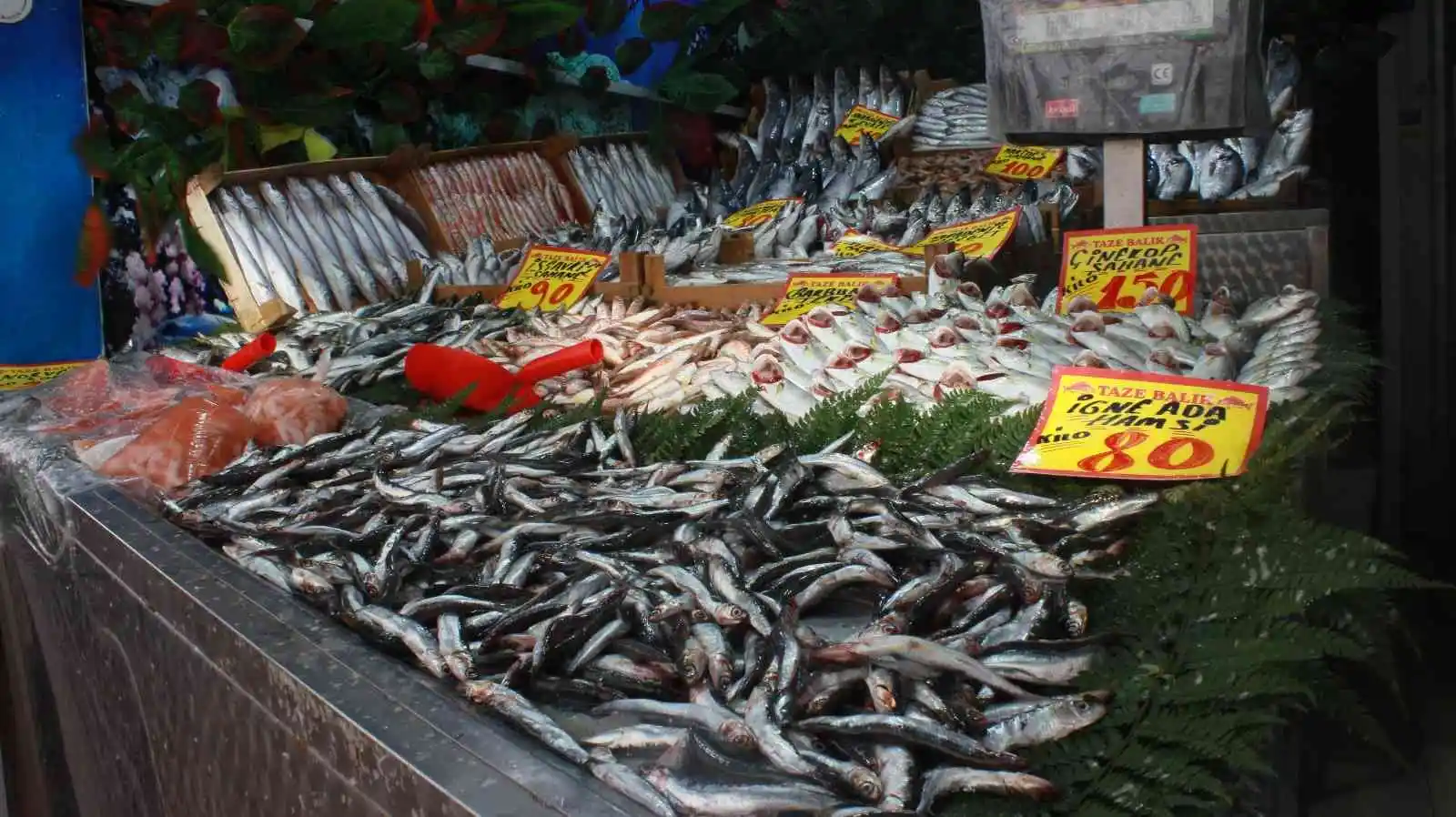 Hava sıcaklıları balık fiyatlarını etkiledi