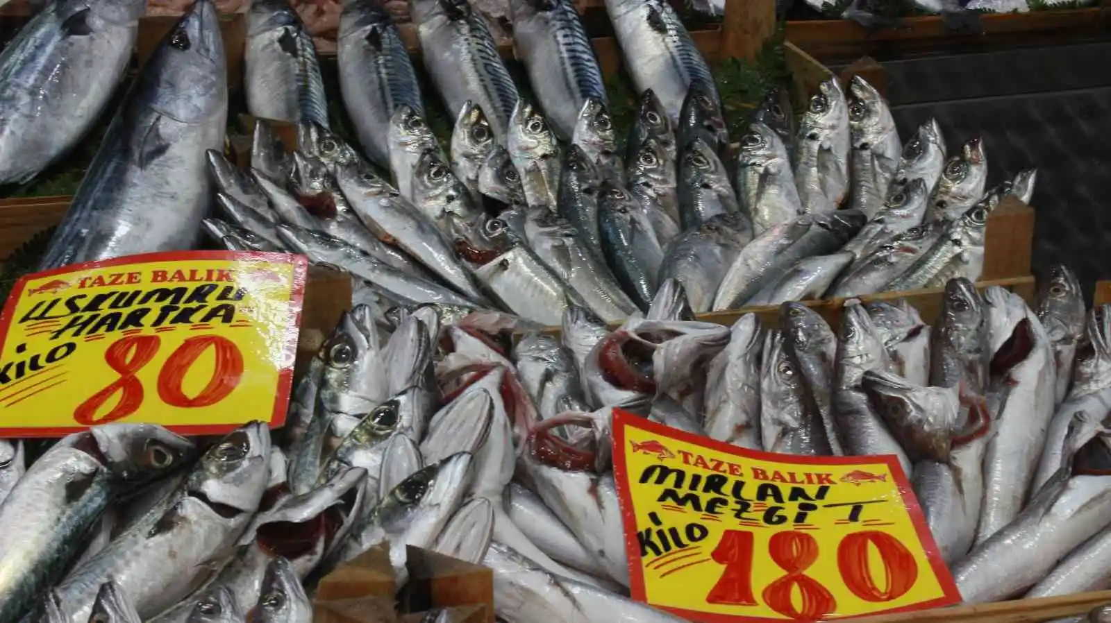 Hava sıcaklıları balık fiyatlarını etkiledi