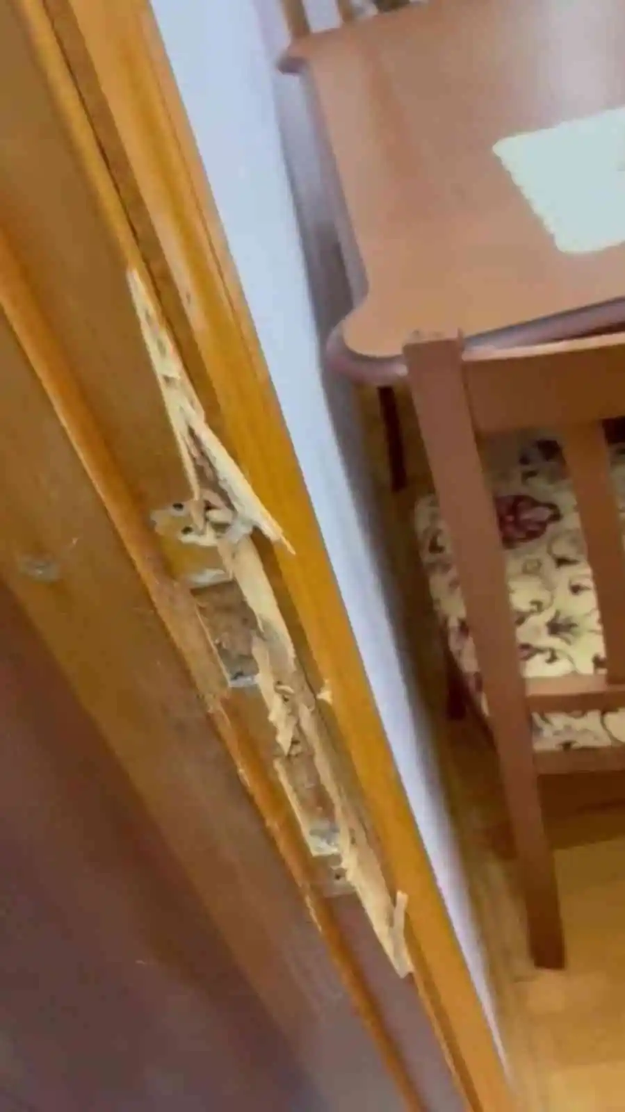 Hırsızları kapısını kırarak girdikleri gurbetçinin evini talan etti