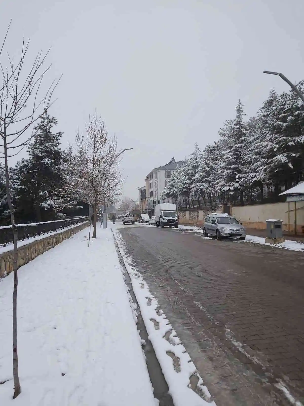 Hozat’ta kuduz karantinası